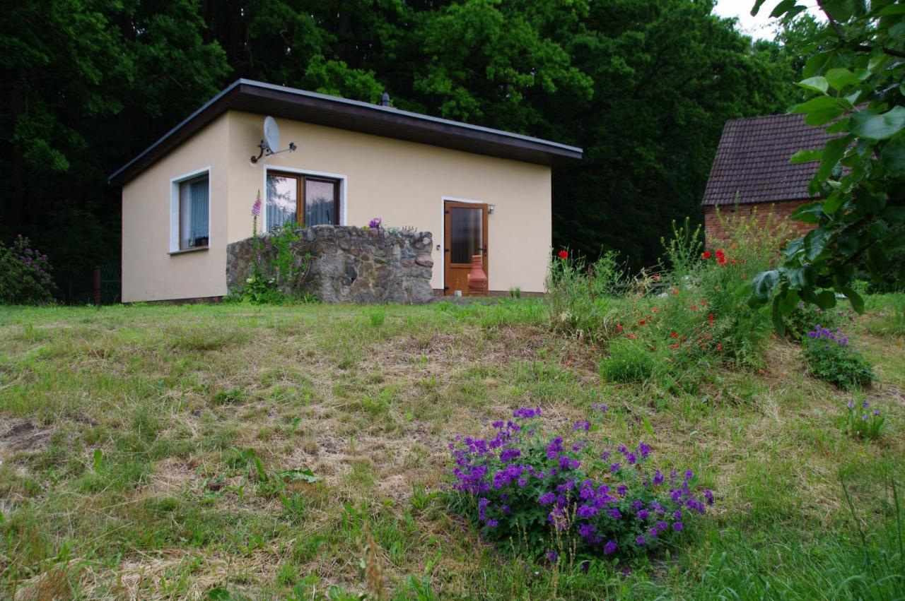 Bungalow Am Forsthaus Stagniess Uckeritz Ngoại thất bức ảnh